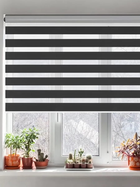 Zebra Blinds